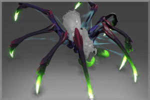 Inscribed Limbs of Lycosidae